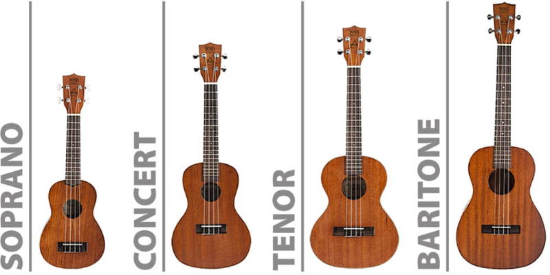 Which Ukulele Size is Best for Me  
