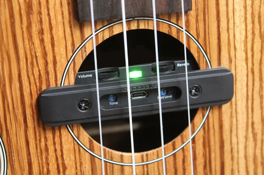 What is a Ukulele Pickup