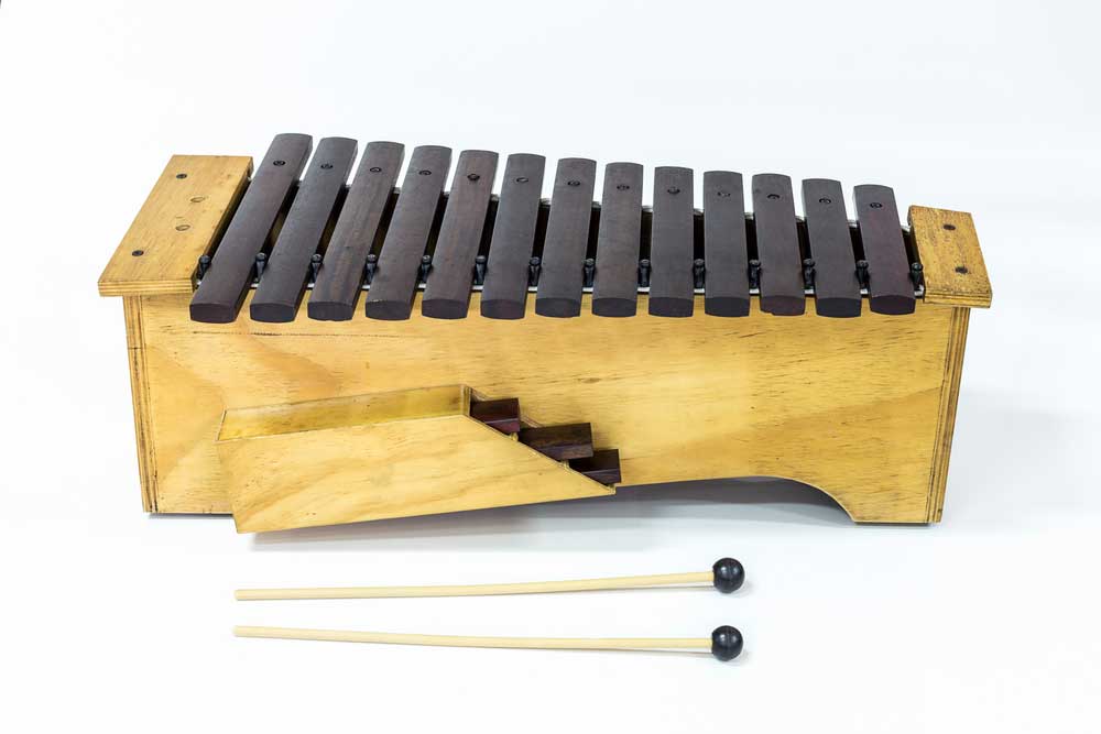 What Does a Xylophone Look Like  