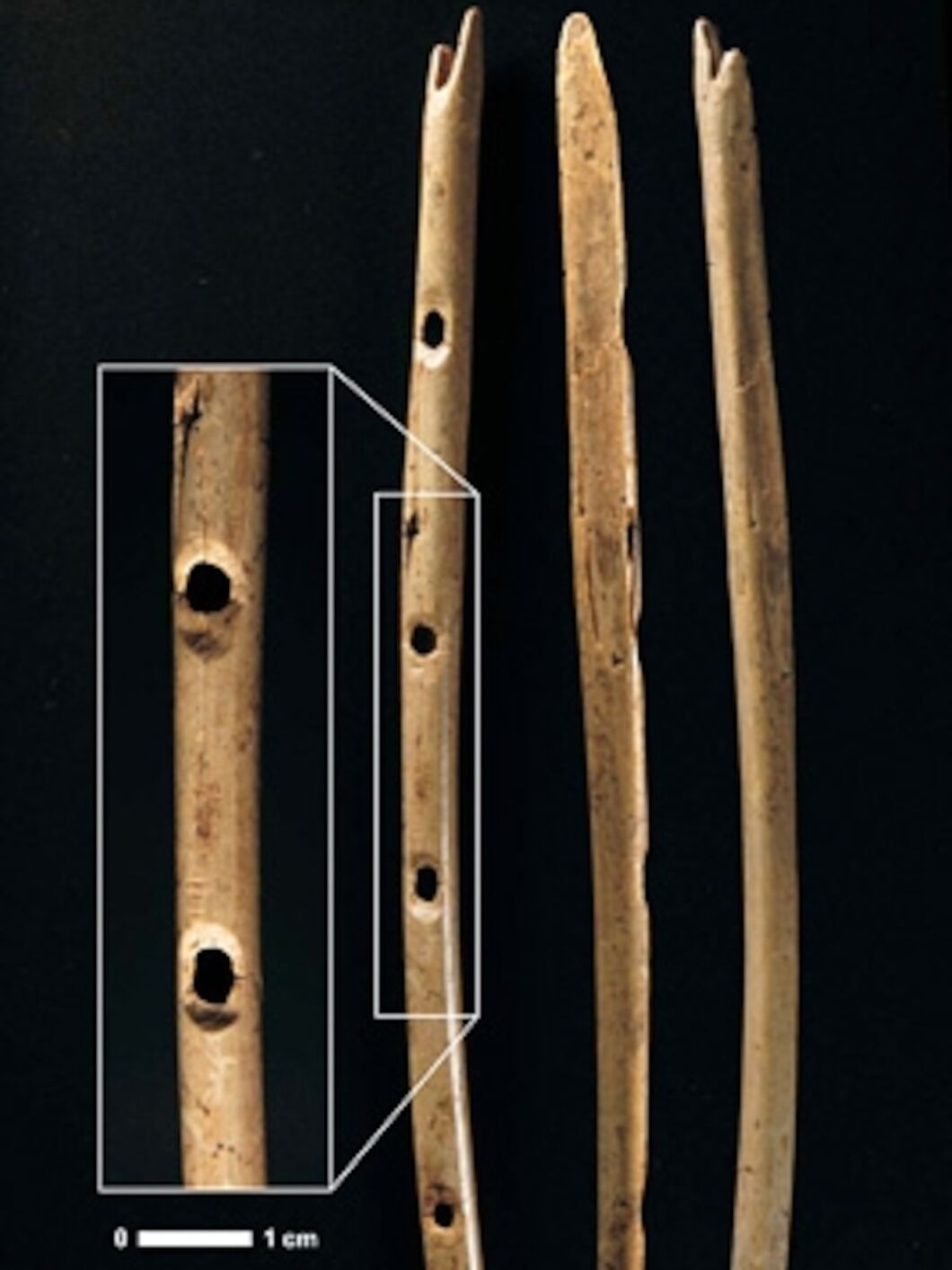 How Old is the Flute