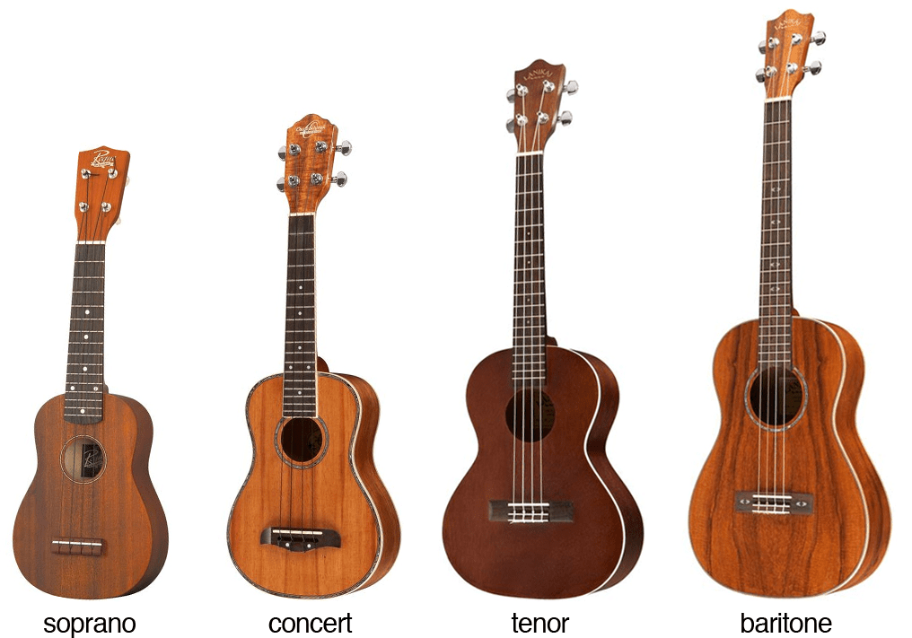 How Much is a Concert Ukulele