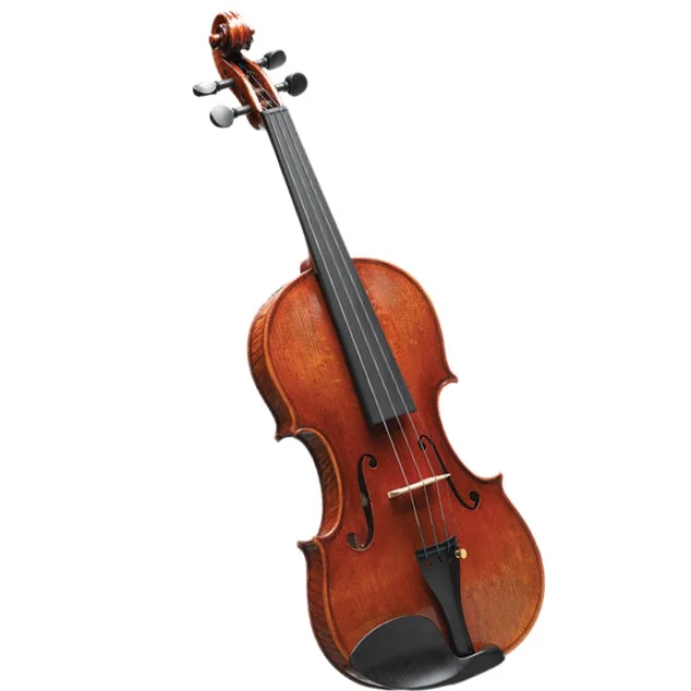 Is a Violin a String Instrument