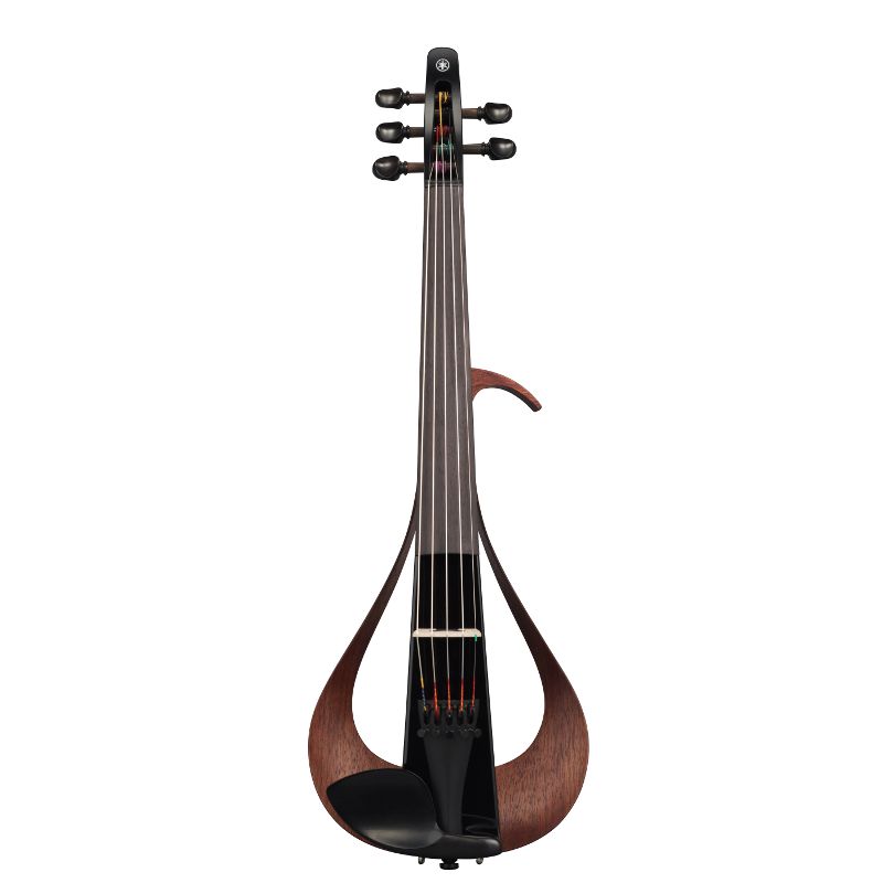 How Much is an Electric Violin  