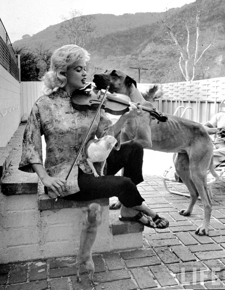 Did Jayne Mansfield Play the Violin