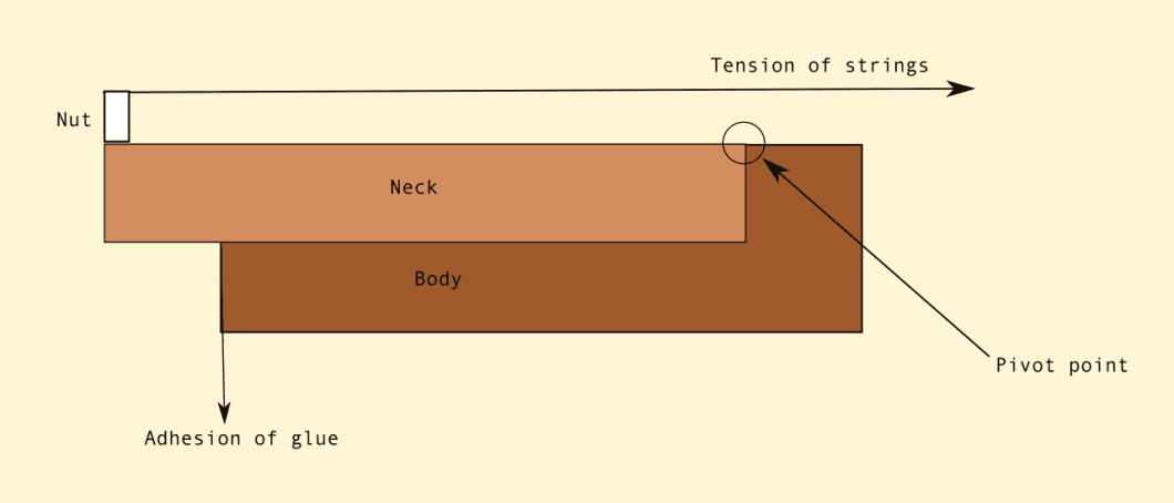 How Much Tension is on a Bass Guitar Neck