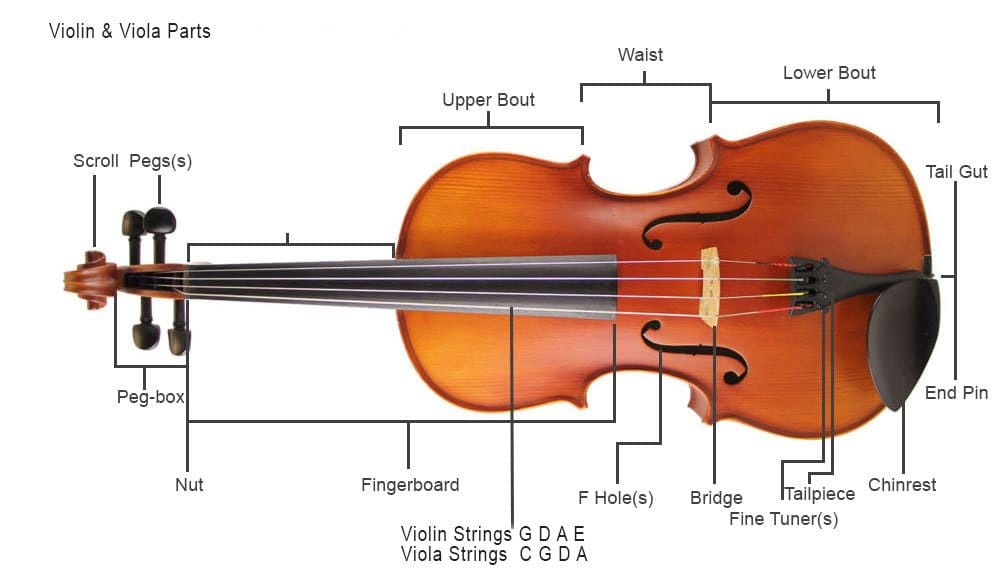 What are the Holes on a Violin Called