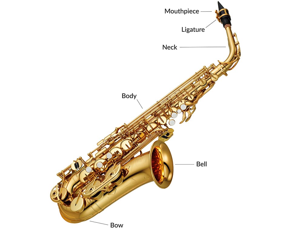 Is Saxophone Hard to Learn