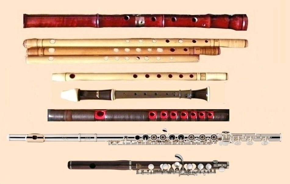 What Do Flutes Look Like  