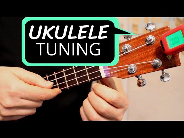Do I Need a Tuner for My Ukulele  