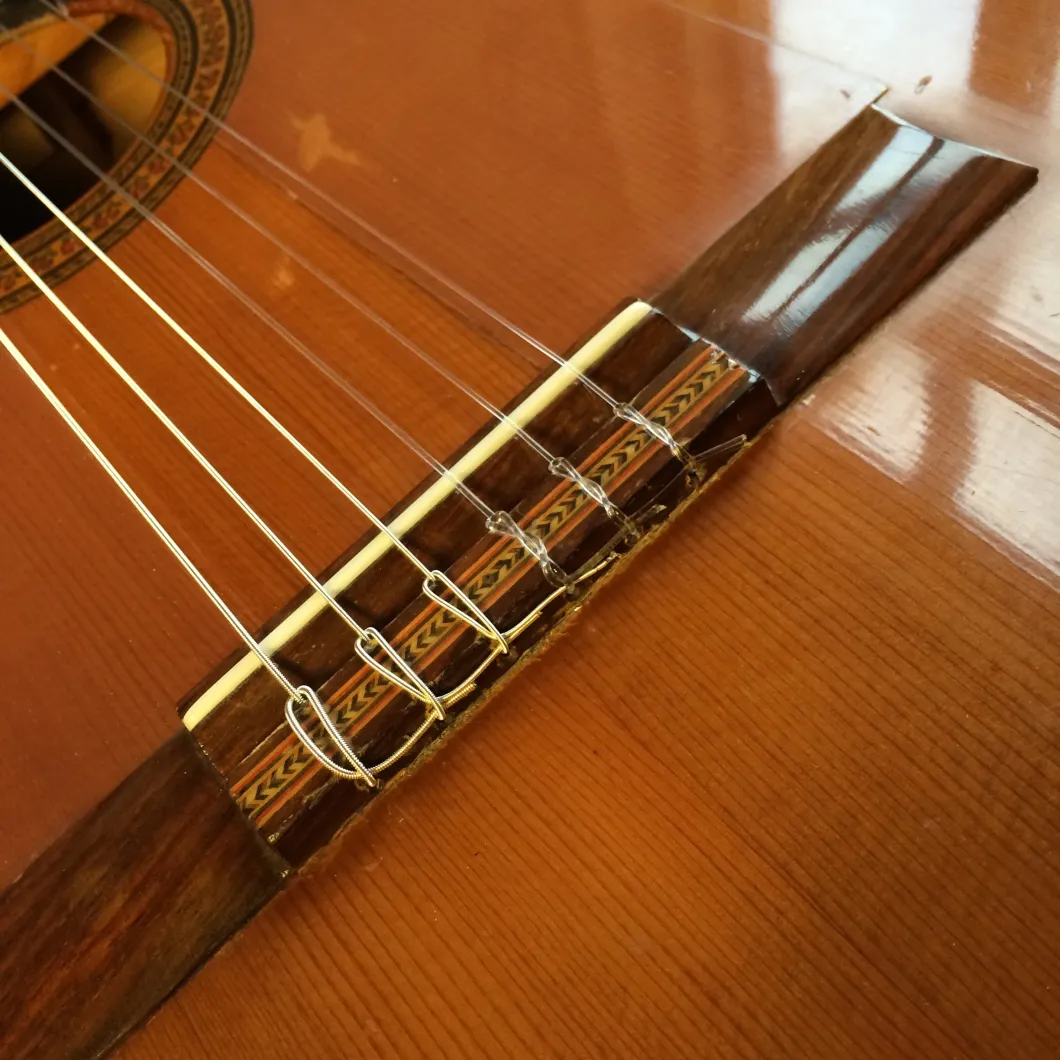 How Many Strings are on a Classical Guitar  