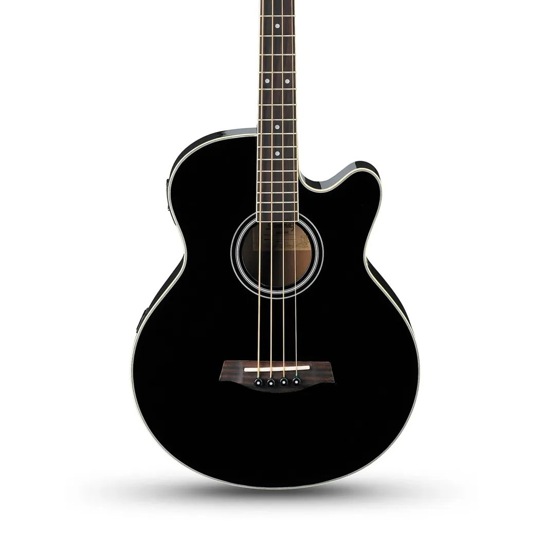 How Much is an Acoustic Bass Guitar  