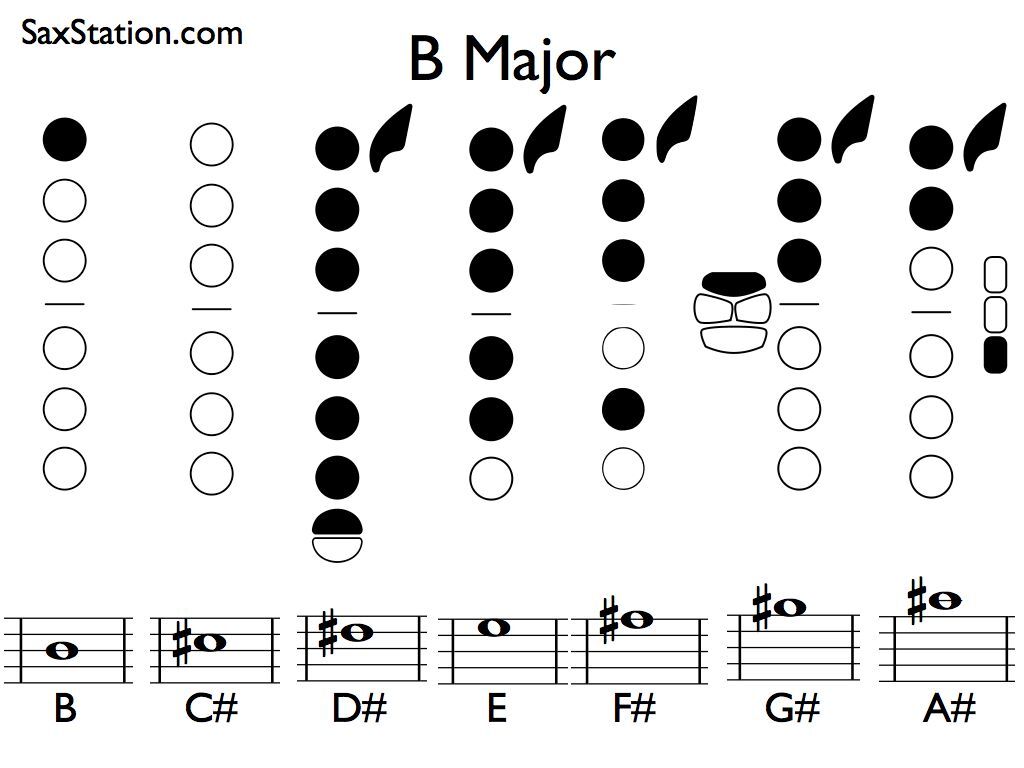 How to Play E Flat on Alto Saxophone  