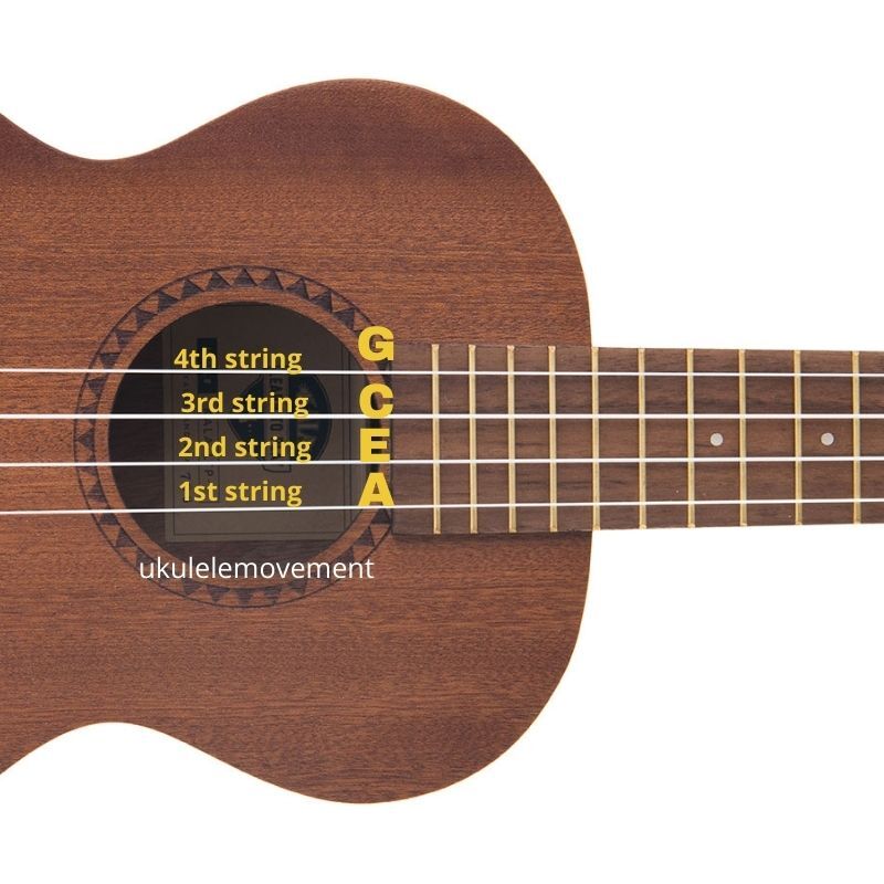 What are the Strings on a Ukulele  