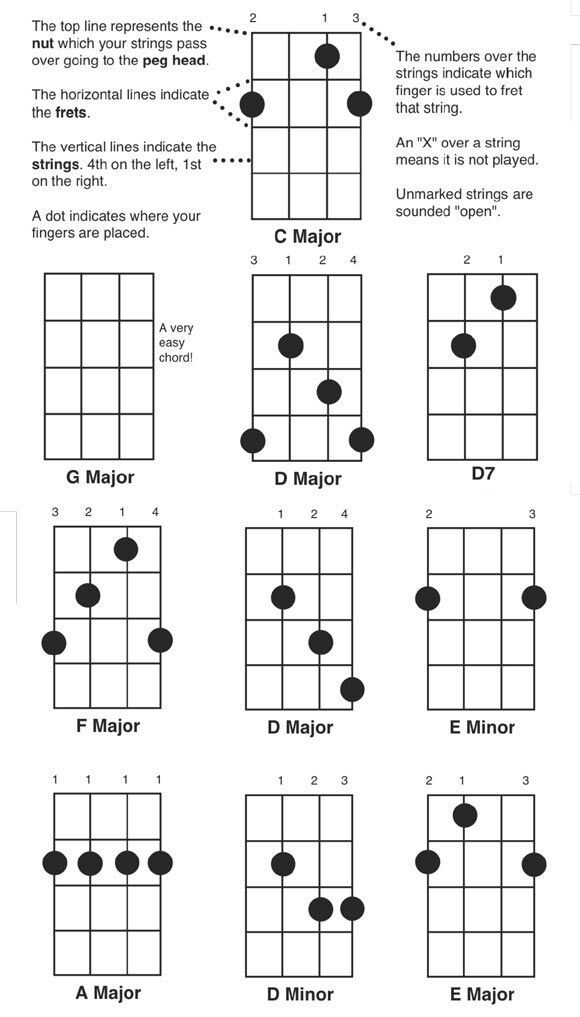 How to Play Banjo Chords
