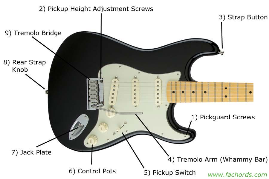 What are the Parts of an Electric Guitar  