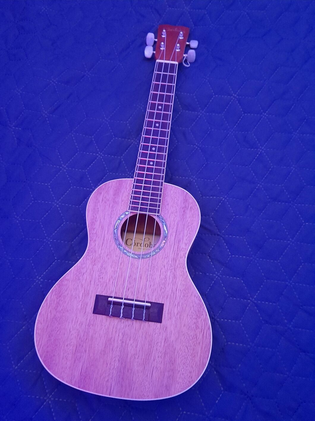 What is the Easiest Boywithuke Song to Play on Ukulele