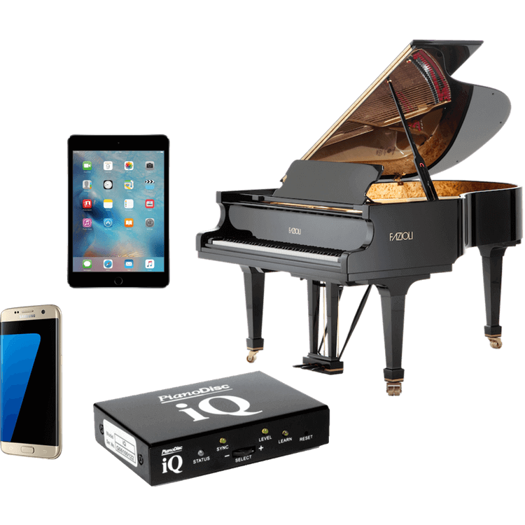 How Much is Piano Disc