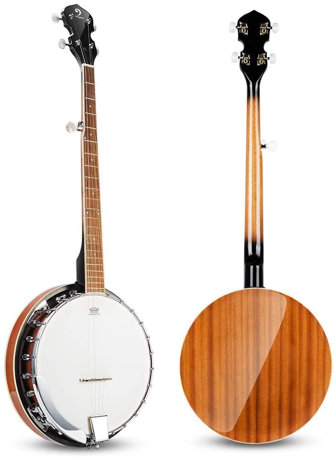 What Banjo is Best for Beginners